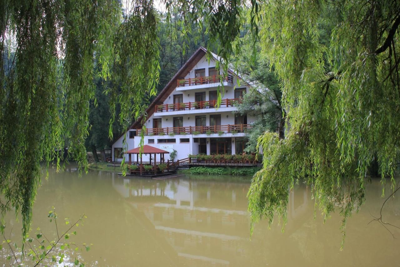 Гостевой дом Guest house Lacul Linistit Моняса-4